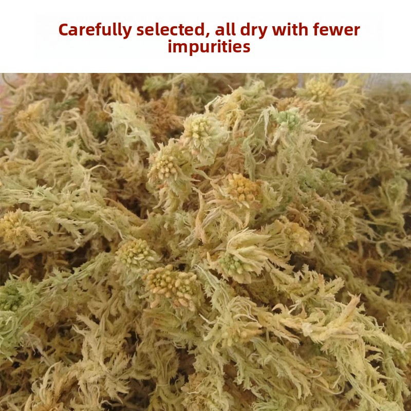Сушеный сфагнум класса А, нату – обзор и цена Preserved Moss Sheet